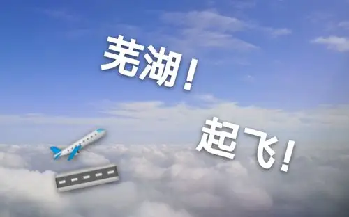 返校芜湖起飞高兴个锤子