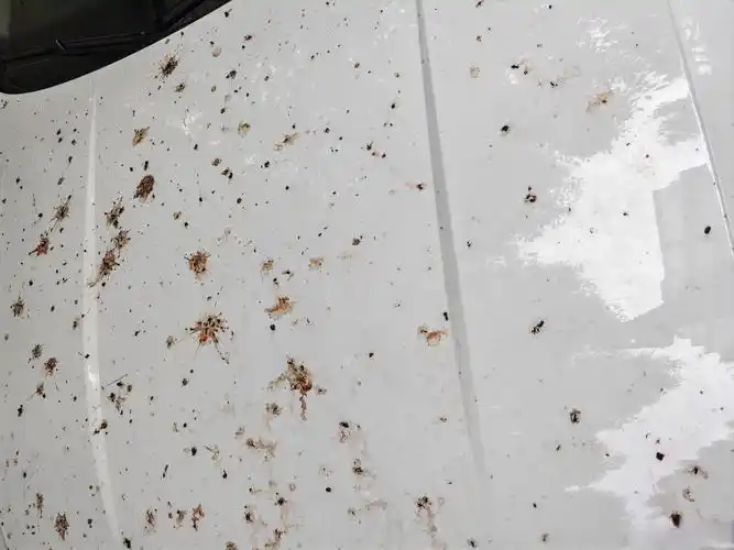 万能的微博和朋友圈# 我想问问