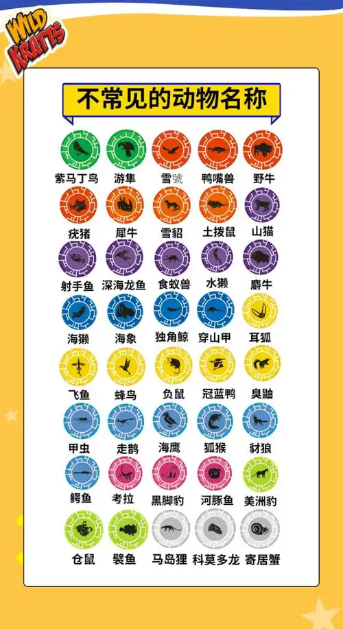 【优选好物】美国动物兄弟超能力碟片玩具磁盘晶片儿童早教益启智塑料