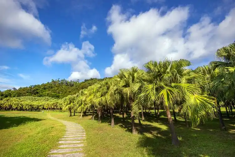 走进葵博园 - 美篇
