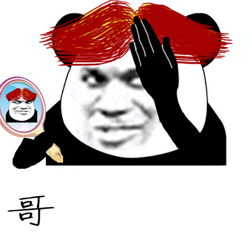 金馆长红头发自信哥就是帅gif动图_动态图_表情包下载_soogif