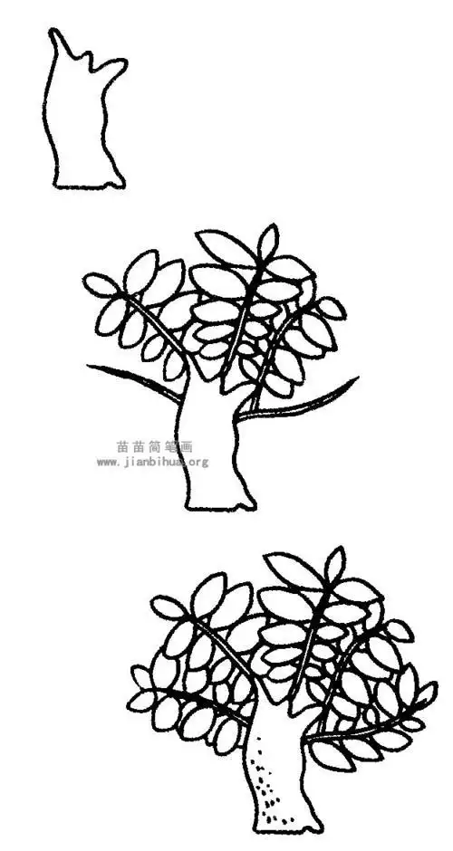 画彩色的苹果树简笔画步骤图怎么画简笔画教程漂亮的芭蕉树简笔画图片