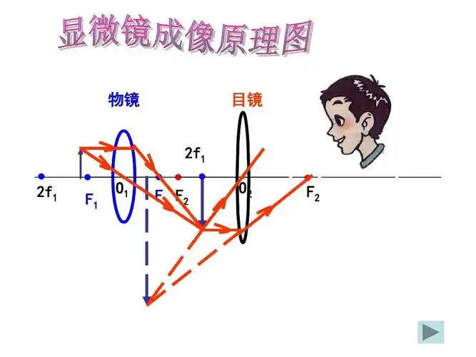 人教版物理八年级上册5-5《显微镜和望远镜》