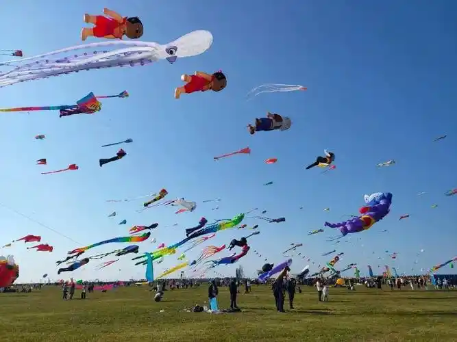 2024潍坊国际风筝节春风拂面万物皆可上九霄