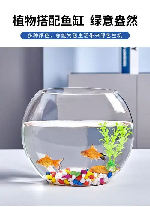 创意扁口玻璃鱼缸椭圆形白透明玻璃金鱼缸迷你水族箱小型桌面40扁鱼