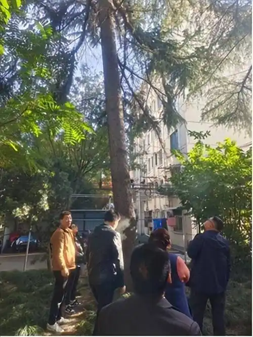 解民所忧老旧社区焕新颜