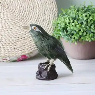 标本黄鹂鸟伯劳小鸟摆件喜鹊杜鹃真羽毛鸟类装饰工艺品 画眉鸟(17*17