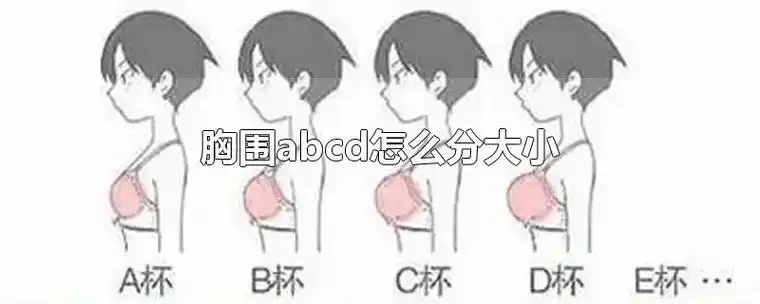 a罩杯表示的是上胸围和下胸围的差在10cm以内,b罩杯表示的是两者的差