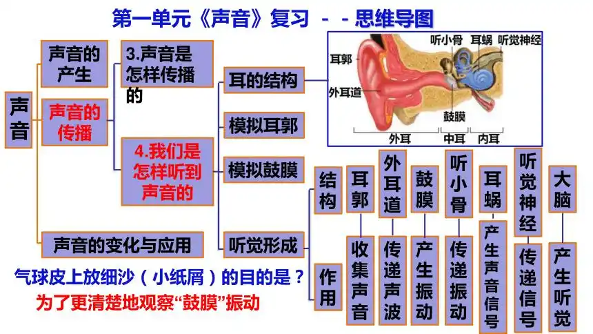 教科版2017秋四年级上册第1单元声音复习思维导图课件13ppt