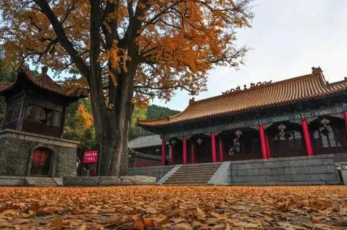 深山藏古寺 千年中国风