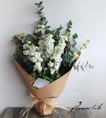 尤加利尤加利花语是什么