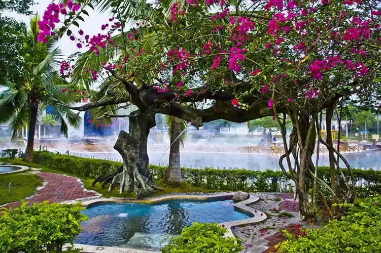 【恩平金山温泉度假村1晚 双人/3人/多人金山温泉度假村门票 3早/双早