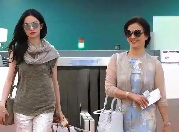 刘亦菲母亲刘晓莉:长得比女儿还漂亮,两婚两离,如今65岁仍单身