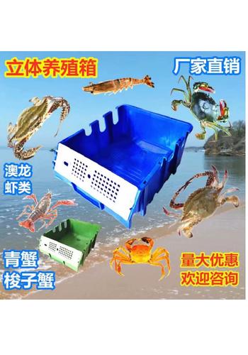 虾蟹公寓龙虾梭子蟹青蟹螃蟹室内立体养殖箱农业水产养殖盒子
