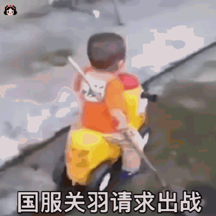 国服关羽请求出战_国服_关羽_出战_请求表情