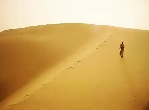 了迷茫 在迷茫中独自流浪 想忘不能忘 曾有一个念想 若是出家做了和尚