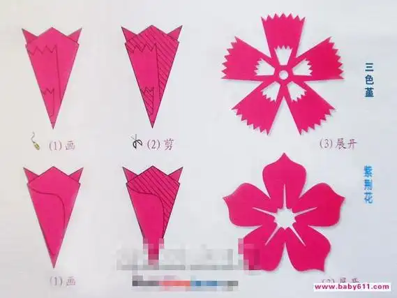 紫荆花剪纸方法五角折剪