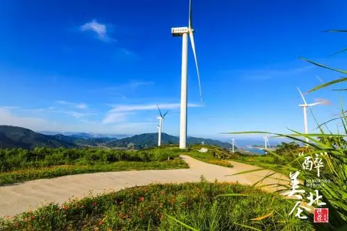 风车花海云雾北仑网红风车公路迎来绚烂赏花期