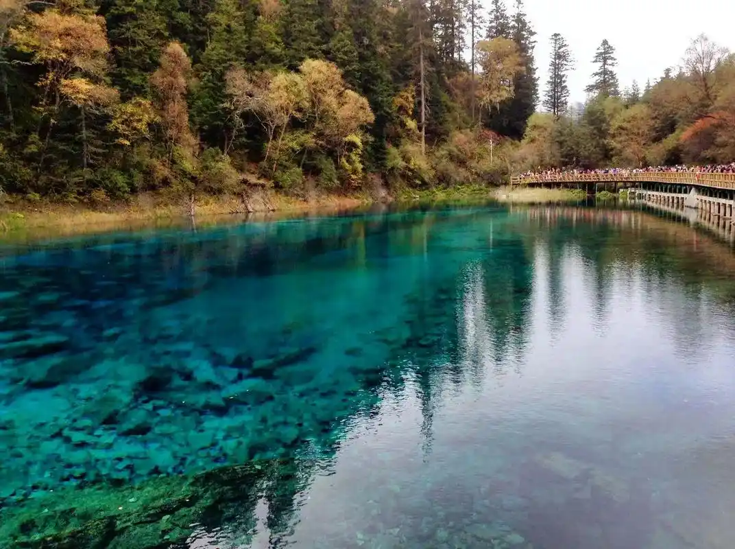 2014年九寨沟三人行(1) 秋天是九寨沟最灿烂的季节,五 - 抖音