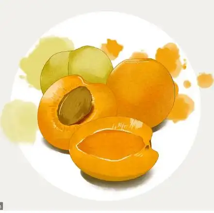 打卡丨水果插画打卡71水果插画杏的绘制