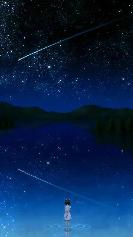 星空下孤独女孩背影动漫图片暂时只能找到这些了希望对你