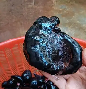 00元/斤 - 一亩田