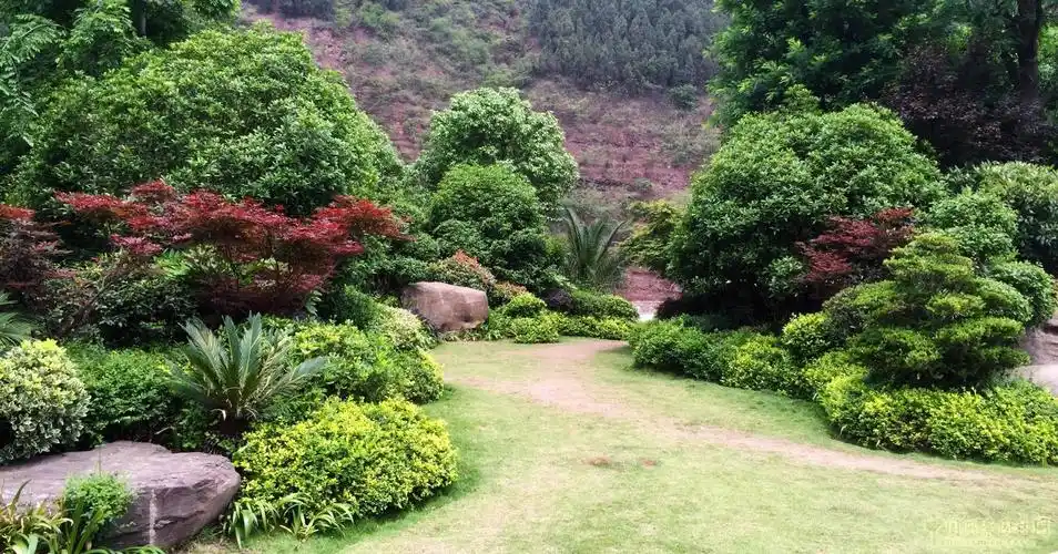 古蔺县金兰大道,迎宾大道绿化景观提升工程