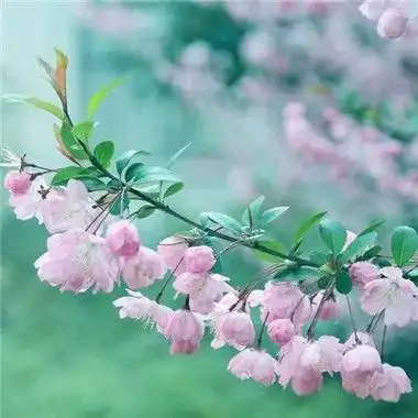 微信最吉利好看的风景头像唯美 - 腾讯云开发者社区-腾讯云