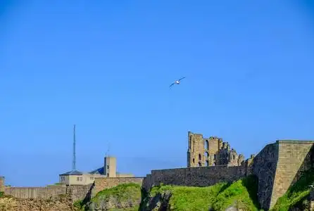 石茅海鸥在中世纪的泰恩茅斯修道院和城堡上空飞翔照片