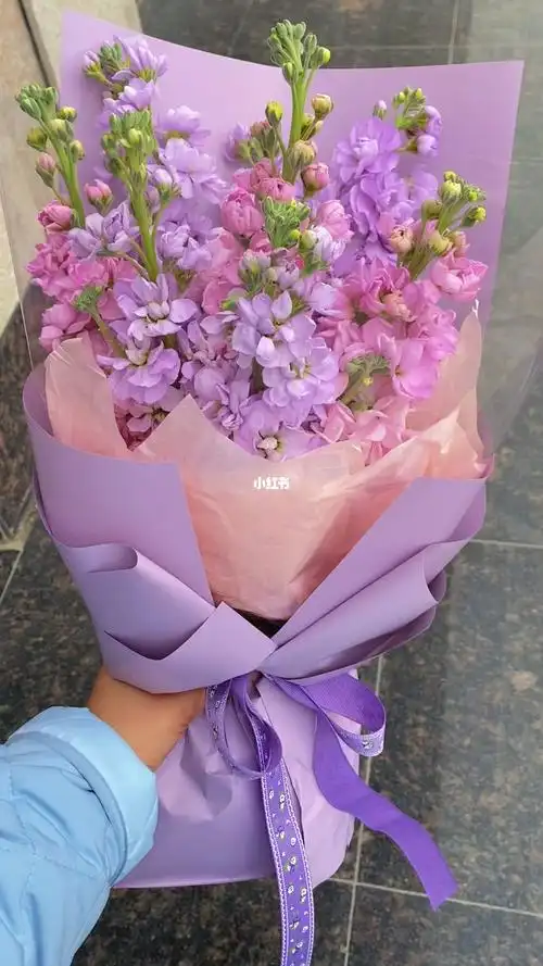 紫罗兰花语:永恒的美和无尽的爱#驻马店  #同城热门  #紫罗兰花束