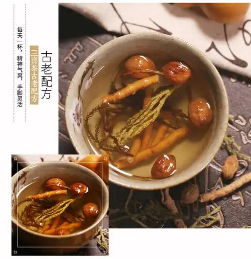 福东海三宝茶老人茶 伸筋草益智仁远志养生茶7544