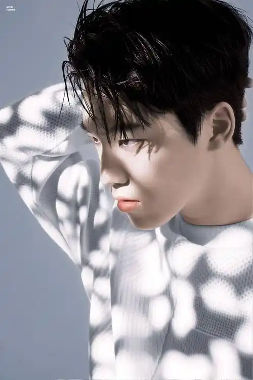 dark_seventeen##day_and_night##for_the_next_story_of_17# 成员