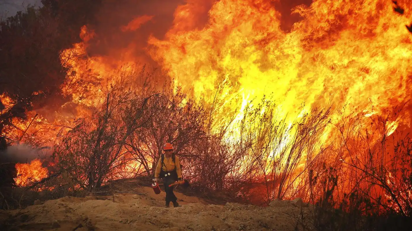 little tujunga  canyons发生山火,现场至少焚烧了50英亩的草地.