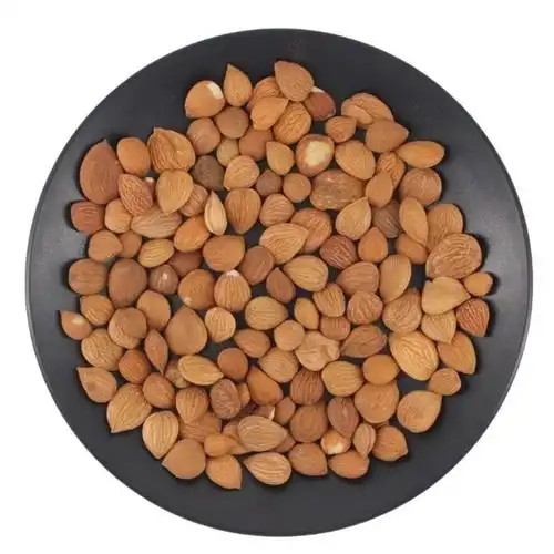 中材杏仁野生苦杏仁新货用北杏仁生杏仁杏核仁杏子5克一点点