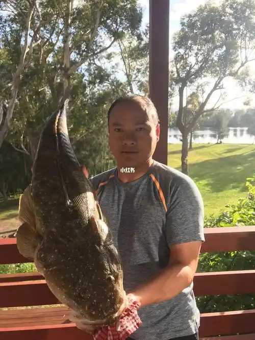 这鱼中文名称叫什么