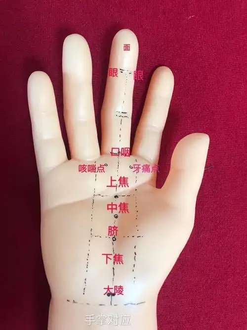 它是真正的全息手针,但是初生的婴儿还有许多不完善.