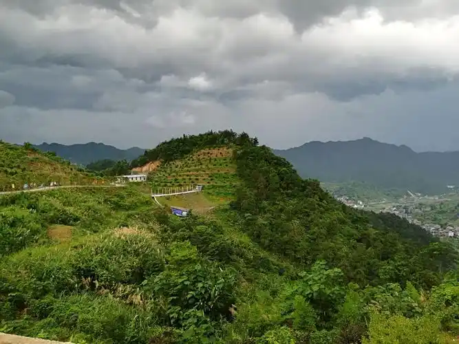 千岛湖瑞利淡竹别墅二日游到诸暨同山云上居