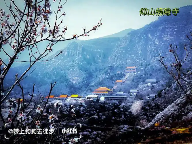 04【汪汪队】95【休闲活动】4月10日延寿山9公里环穿.