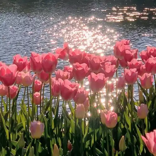 朋友圈背景终结三月的遗憾开启人间四月天