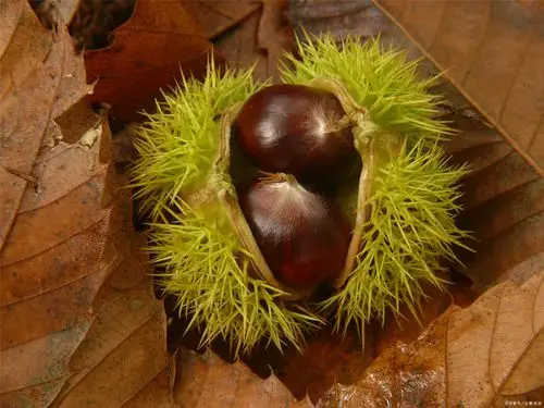 兔- 热门商品专区