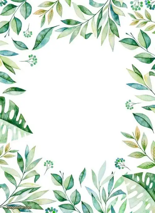 清新叶子边框的空白a4纸张背景图片