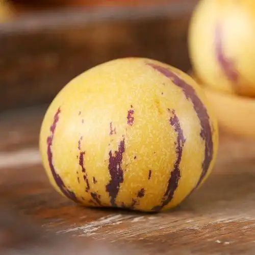 真正的人参果是什么样子的?