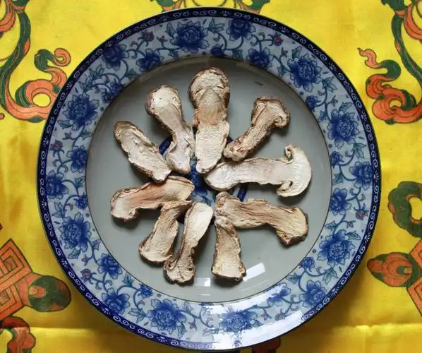 嘎瓦龙 西藏林芝波密县产特级野生童茸松茸干片半斤商品图片价格