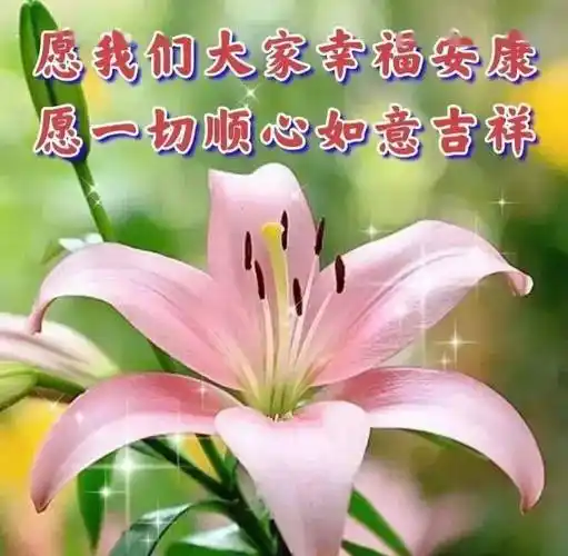 最新创意好看的早上好祝福图片,温馨唯美早安问候文字精选!