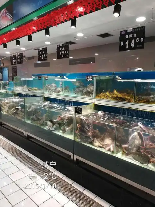 赤壁店水产课2019年1月18日第一次开业图片