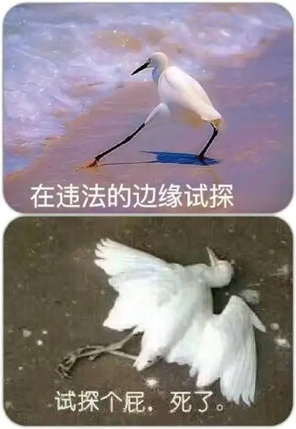 在违法的边缘试探试探个屁死了试探个屁违法边缘表情