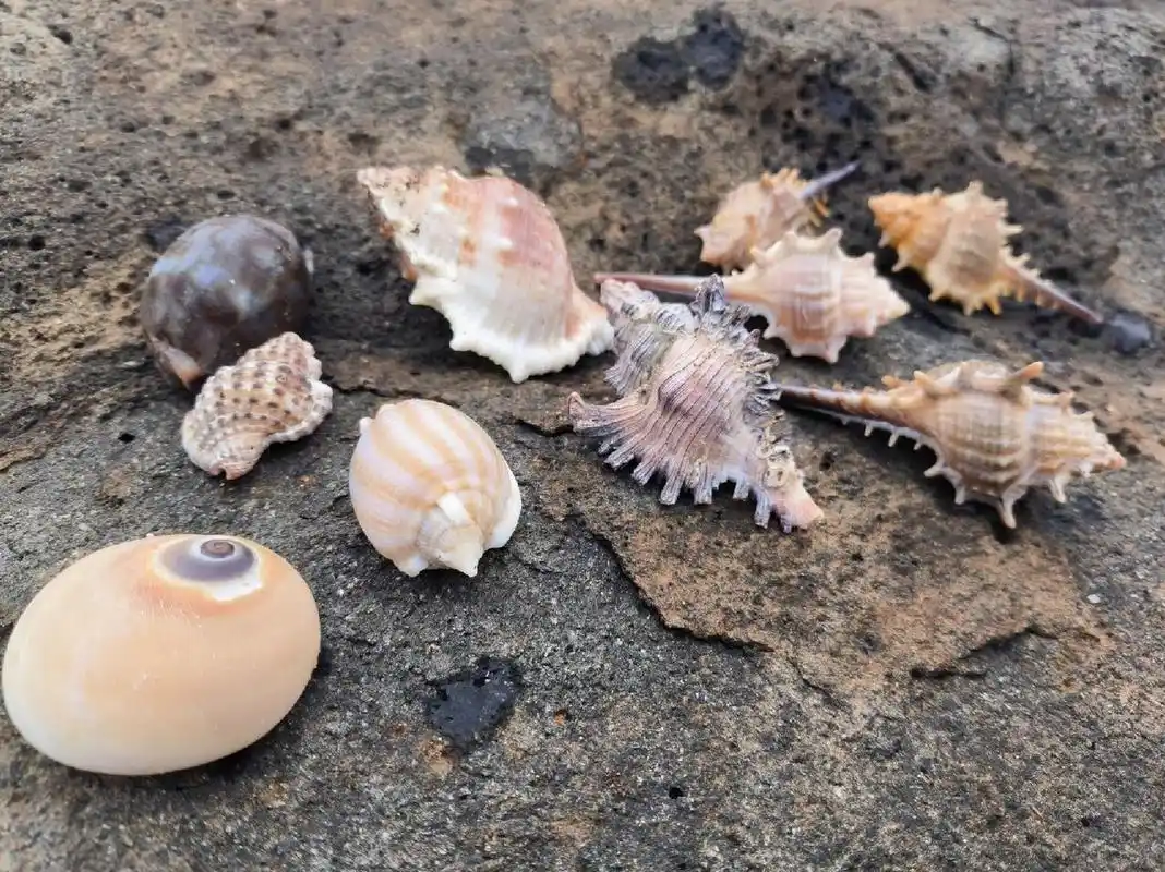 湛江硇洲岛,最强攻略之(二)   2)硇洲中心渔港.