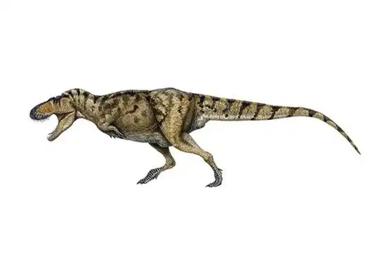 特暴龙(说一说特暴龙的简介)_百科-探索生活