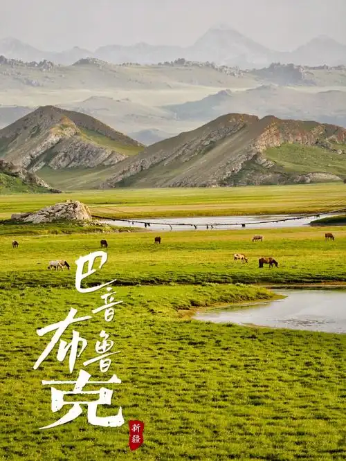 中国国家地理最美湿地在巴音布鲁克打野