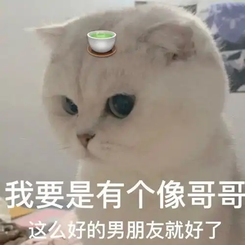 我要是有个像哥哥这么好的男朋友就好了猫咪绿茶婊表情包猫咪有个表情
